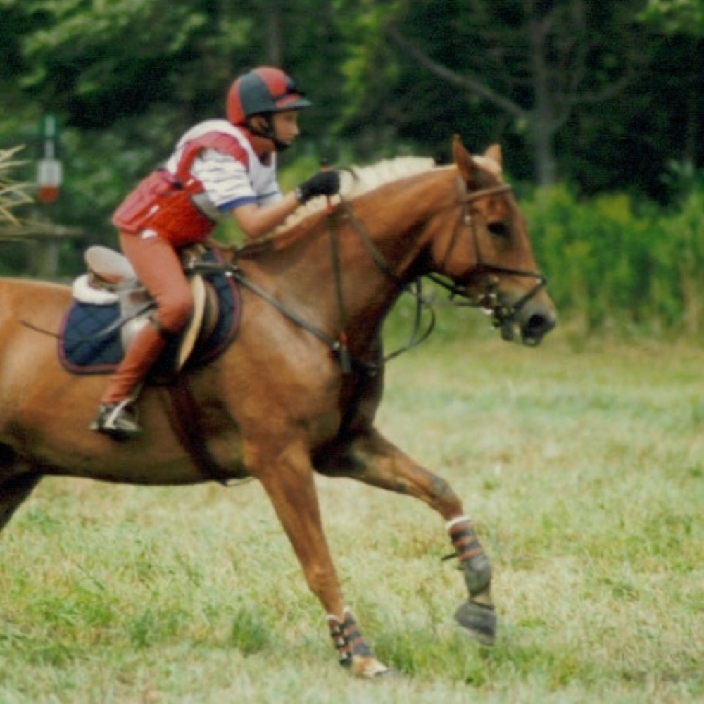WAR,SKYDIVING,SCUBA,HORSES,GUNS,ROCK,WALK4VETS,FUN - Picture 10 of 16